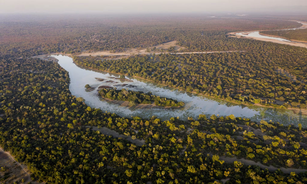 ZAMBEZI & LUANGWA SIGNATURE SAFARI