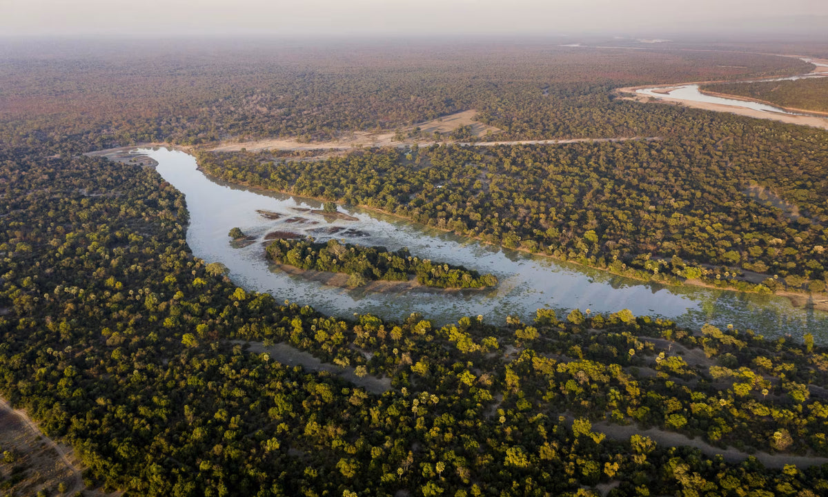ZAMBEZI & LUANGWA SIGNATURE SAFARI