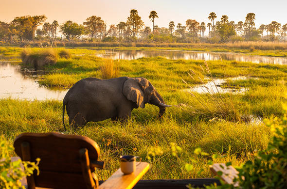 BOTSWANA SIGNATURE SAFARI