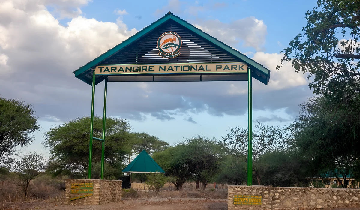 NORTHERN TANZANIA SAFARI EXPERIENCE
