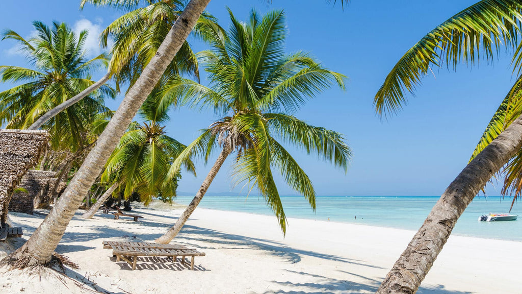 MADAGASCAR RAINFOREST & ISLAND DISCOVERY