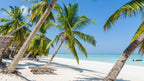MADAGASCAR RAINFOREST & ISLAND DISCOVERY