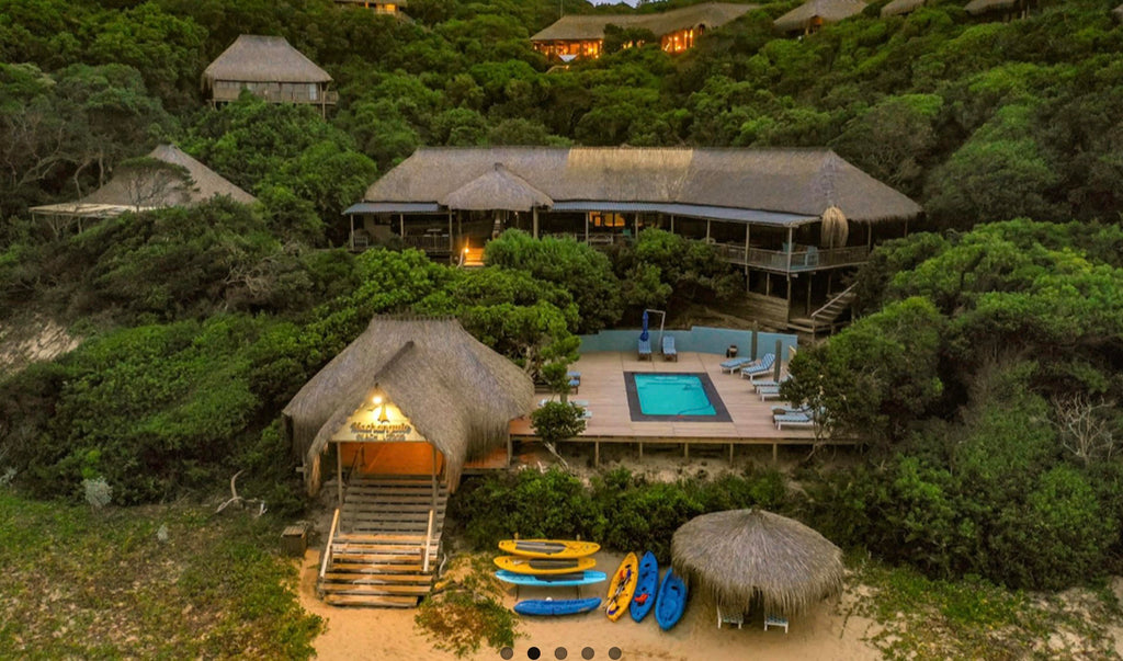 KRUGER & MOZAMBIQUE SAFARI AND BEACH ESCAPE