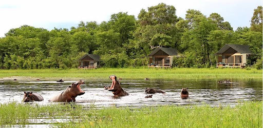 BOTSWANA WILDLIFE EXPLORER