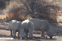 Bill Shaw - Oct 2013 216-min