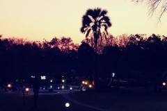 CELL TOT 22 NOV 17 876-min