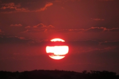 Cell Fotos tot 27 April 2017 4852-min