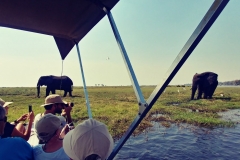 Cell - Lois,Gene, Michelle, Ted - Sept 2017 en Nog 539 b-min