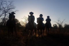 Cell fotos to 10 Okt 2016 216b-min