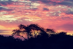 Cell fotos tot 15 Mrt 2017 4480b-min