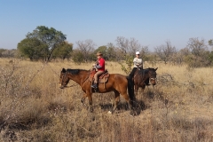 Cell fotos tot 16 Junie 2015 117-min