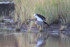 Dan Cantlon - 2014 - Africa 6 293-min