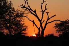 Dan Cantlon - 2014 - Africa 6 308-min