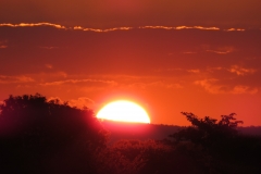 Dan Cantlon - 2016 - Dan Kamera 3772-min