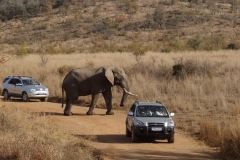 Dan Cantlon - Canada - JuneJuly 2013 252-min
