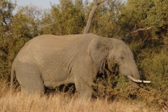 Dan Cantlon - Canada - JuneJuly 2013 286-min