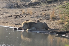 Dan Cantlon - Canada - JuneJuly 2013 313-min