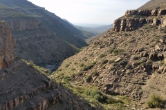 Dan Cantlon - Mei 2016 - Cell & Ander 714-min