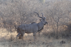 Doug Bezzant - KNP - Aug 2014 083-min
