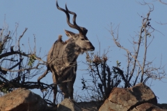 Doug Bezzant - KNP - Aug 2014 099-min