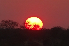 Doug Bezzant - KNP - Aug 2014 199-min