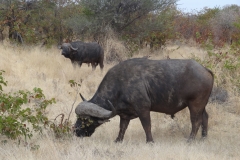 Doug Bezzant - KNP - Aug 2014 223-min