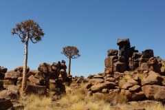 Ewert CELL - Tot Okt 2014 2040-min