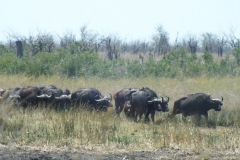 Jim & Diane Berberich - Oct 2017 009b-min