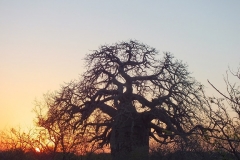 Jim & Diane Berberich - Oct 2017 305b-min