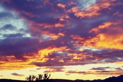 Jim & Diane Berberich - en ander cell - OCT 2017 291b-min