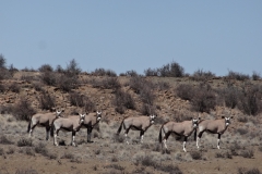 Kevin , Bill , Paul - NC - Okt 2013 068-min