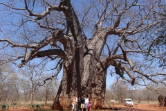 Lois & Gene , Gary & Donna , Grant & Nicole - Sept 2013 015-min