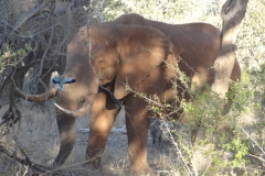 Lois & Gene , Gary & Donna , Grant & Nicole - Sept 2013 031-min