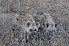 Lois & Gene , Gary & Donna , Grant & Nicole - Sept 2013 065-min