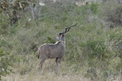 Lois & Gene , Gary & Donna , Grant & Nicole - Sept 2013 324-min