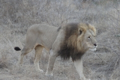 Lois & Gene , Gary & Donna , Grant & Nicole - Sept 2013 373-min