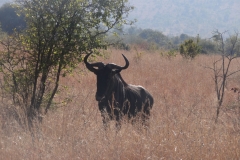 Mike - June 2014 213-min