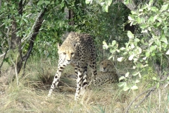 Ons - Desember 2015 - Witwater 058-min