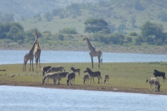 Paul Kmiec & Larry Martin - April 2016 166b-min