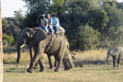 Pete Daron - Mei 2017 133b-min