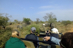 Ray, Dee & Jacey Symens - Timbavati - KNP - June 2017 138b-min