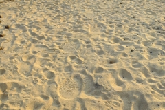 Ray, Dee & Jacey Symens - Timbavati - KNP - June 2017 230b