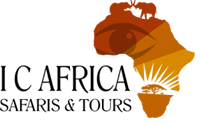 IC Africa Logo